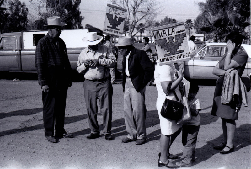 Una huelga de Trabajadores Agrícolas Unidos. / A United Farm Workers strike.