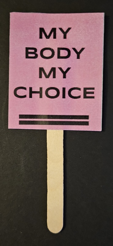 My Body My Choice Mini Protest Sign.
