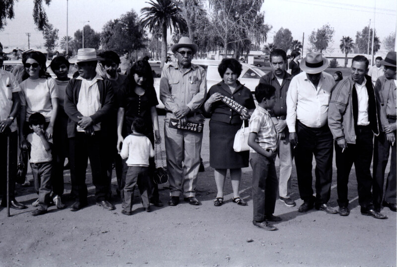 Una huelga de Trabajadores Agrícolas Unidos. / A United Farm Workers strike.