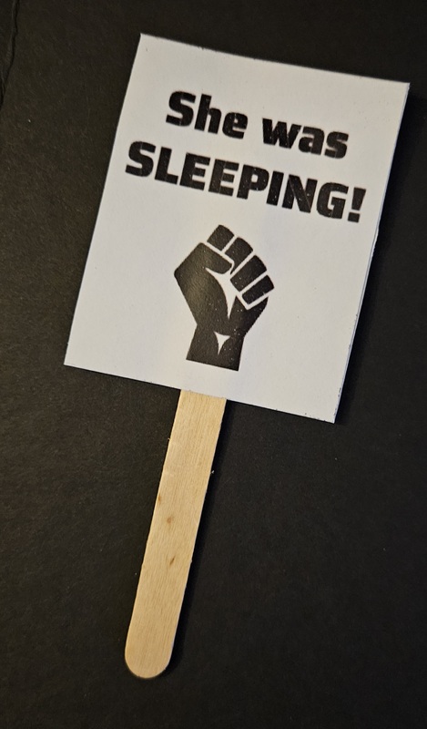 She Was Sleeping! Mini Protest Sign.