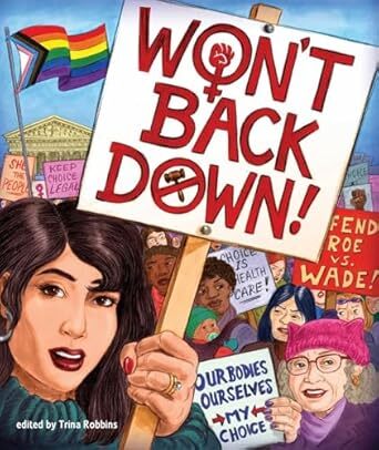 Book cover shows women at a protest