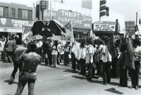 Una multitud de personas que protestan por la guerra de Vietnam. / A crowd of people protesting the Vietnam War.