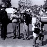 Una huelga de Trabajadores Agrícolas Unidos. / A United Farm Workers strike.