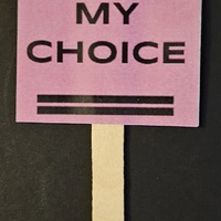 My Body My Choice Mini Protest Sign.