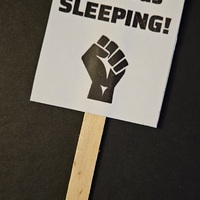 She Was Sleeping! Mini Protest Sign.